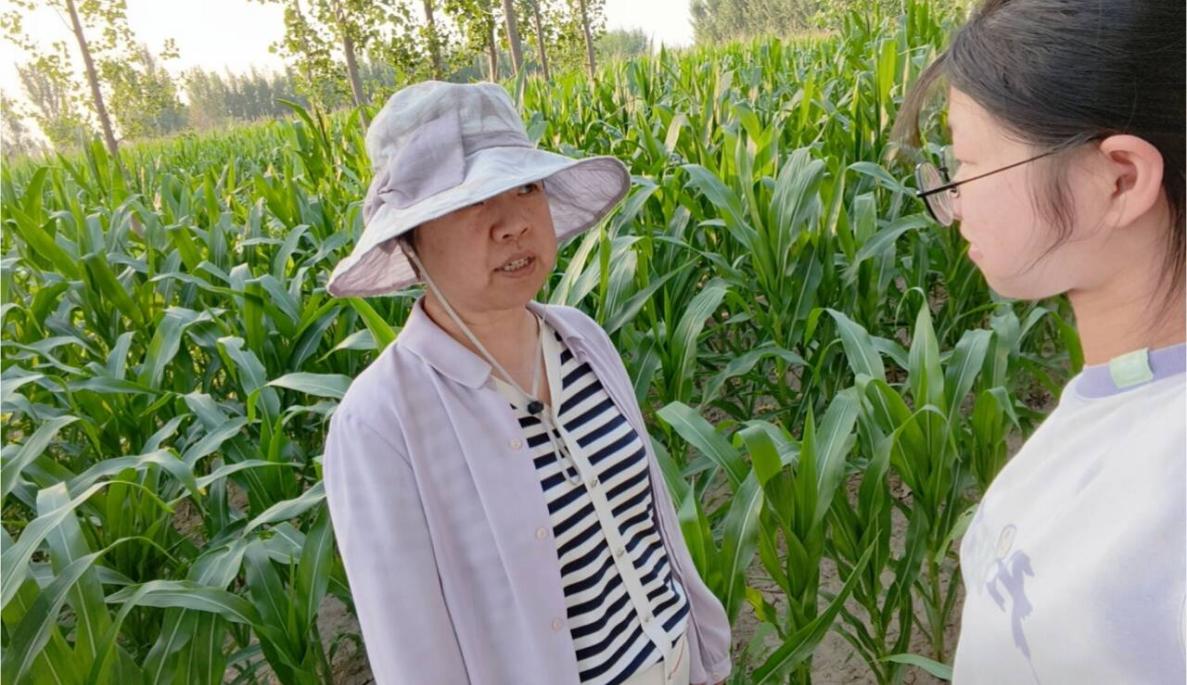 探寻乡土新变,解码家乡乡村振兴发现基因