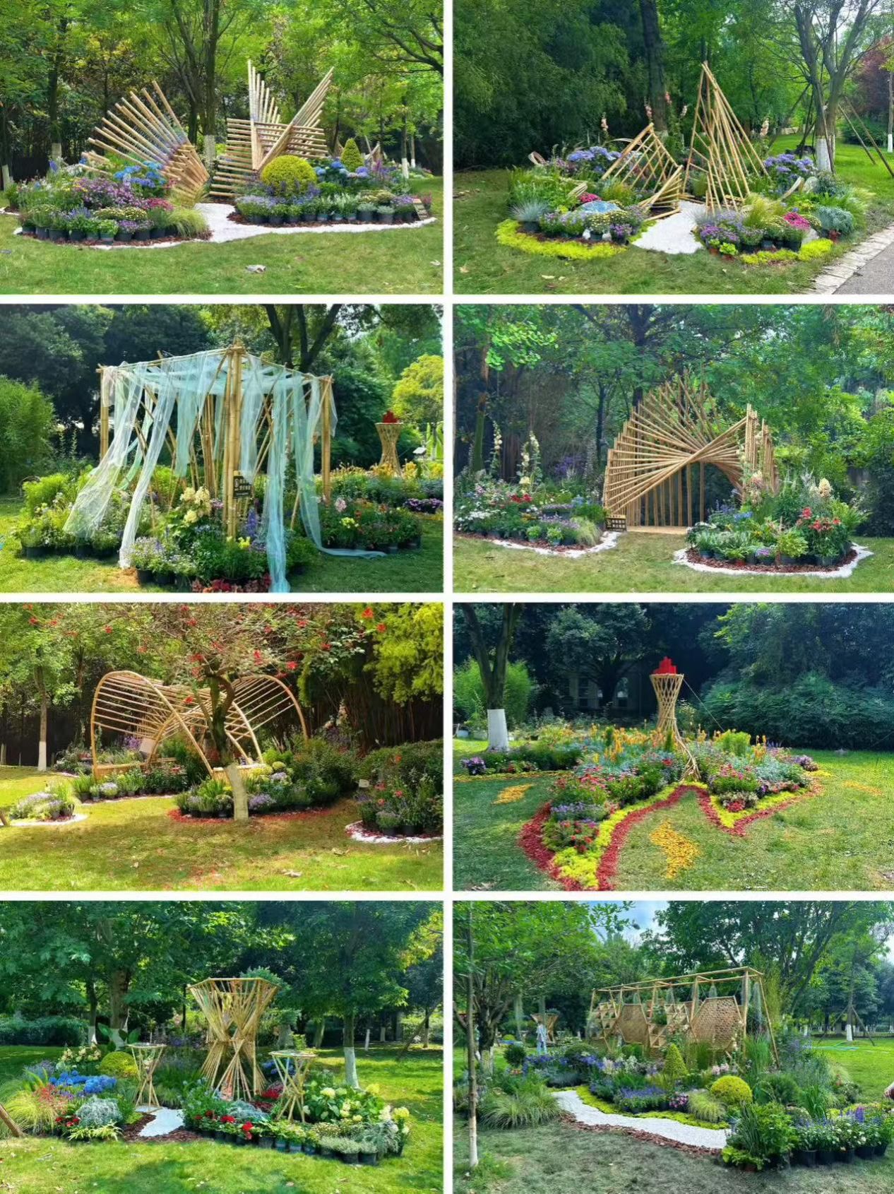 在“竹影花姿”间筑梦风景：365足球网站联合实验教学项目探索实践育人新高度